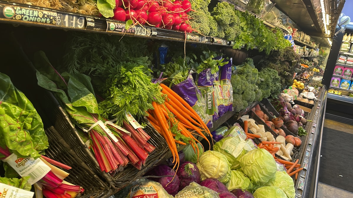 Protein rich foods for muscle building